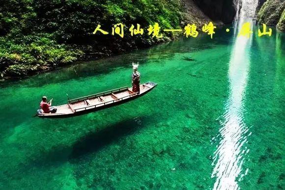 解救可爱的鸭子